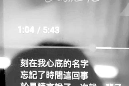 唱歌的名字怎么取