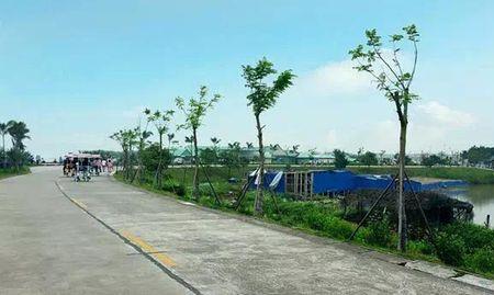 海鸥岛24小时开放吗