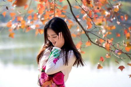 清风拂月什么意思