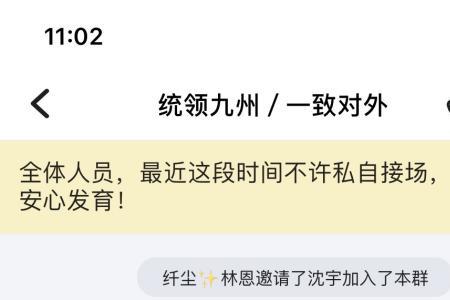 什么是网络大手子