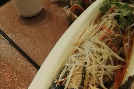 如何清蒸菜鲟