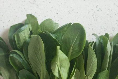 一份清炒油菜多少克