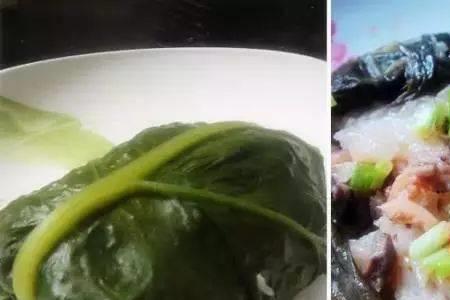 猪食菜的学名大全