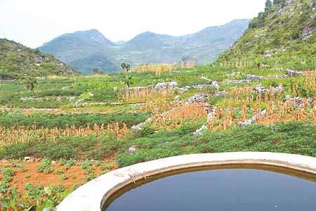 帆布池养鱼用井水怎么调水
