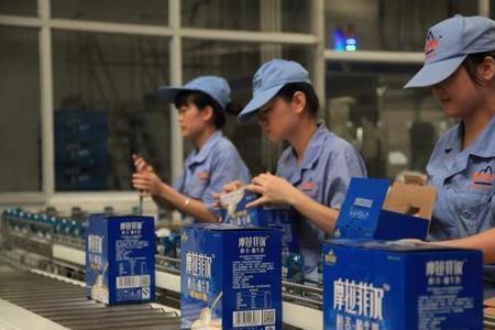 广西百菲乳业的牛奶质量怎样