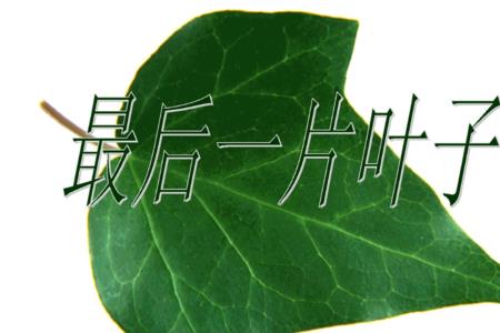 一片树叶的奇迹的作者是