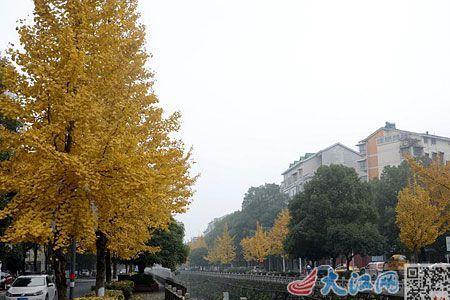 萍乡苏州街是干什么的