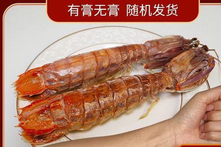 濑尿虾虾皇 公虾还是母虾