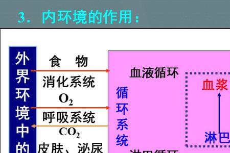 人的内环境和外环境包括
