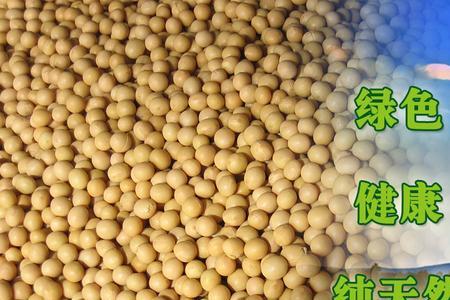 转基因和非转基有什么区别