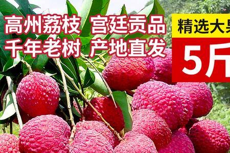 玲珑荔枝和桂味是同一品种吗