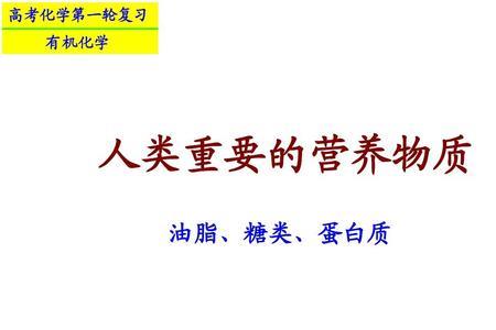 人类贮存糖类的形式