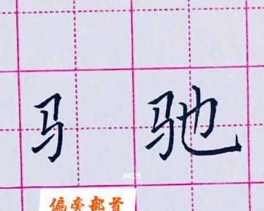 马可以组什么偏旁