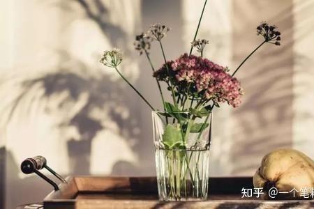 做事有韧性是什么意思