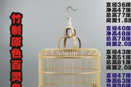 云雀笼底为什么要铺沙子
