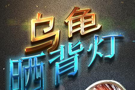 黄耳龟需要晒背灯吗