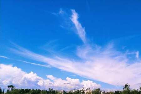 王官湿地公园国庆开放吗