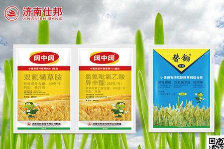 金叶榆大田喷雾用什么除草剂