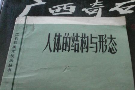 人体外表的形态结构叫什么
