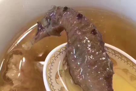 海马可以吃吗