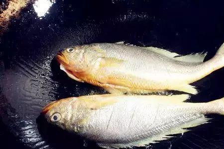 油性鱼什么鱼最好
