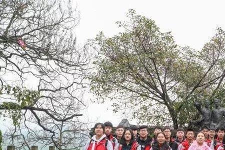 重庆29中初中有什么班型