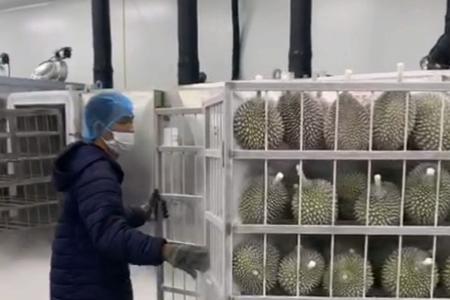 液氮榴莲用烤箱怎么解冻