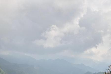 山归读什么