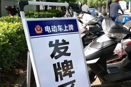 两轮电动车电子牌照长什么样