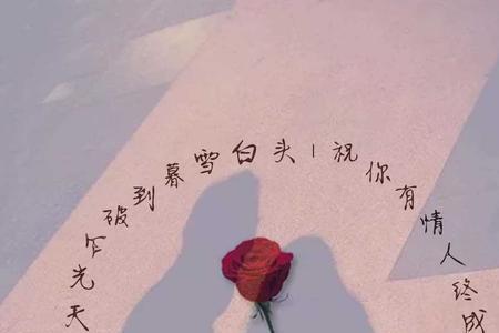 天光乍破遇暮雪白头全诗