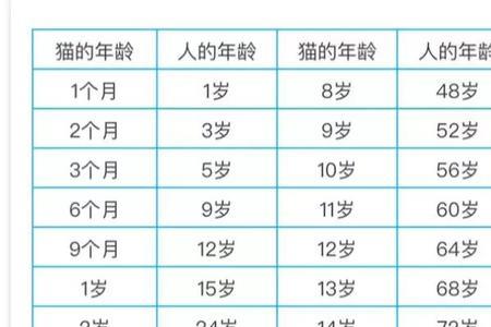 猫的生育年龄