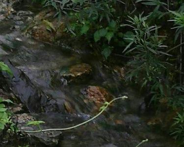 小河涓涓是成语