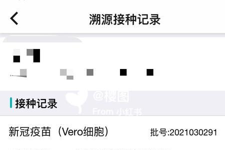 伊可新怎么查追溯码