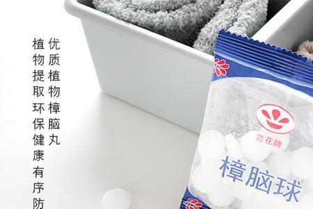 樟树和樟脑丸的关系
