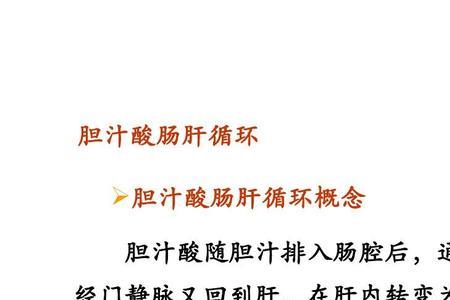 胆汁酸的化学名字