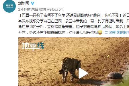 乌龟从哪里捉来的