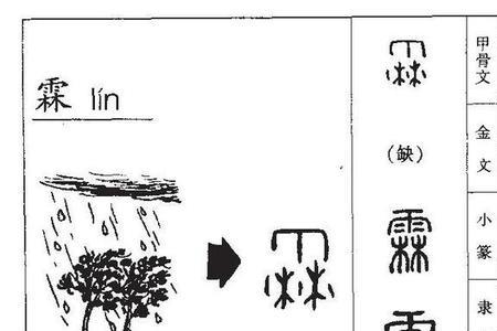 泊霖名字的寓意