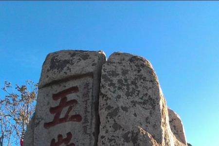 泰山海拔多少米好