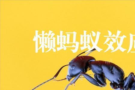 一万只蚂蚁在身上爬成语