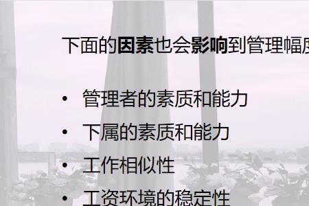 组织特征四个方面