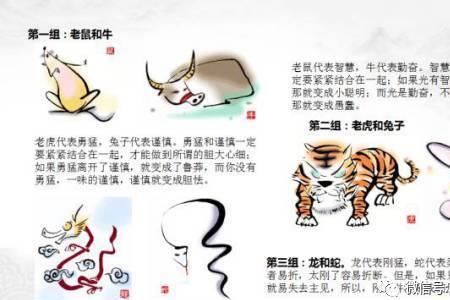 三三是六猜一生肖