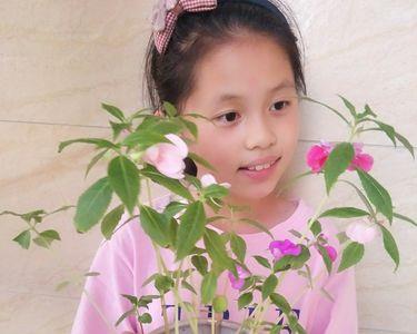 凤仙花的妈妈给她准备了什么