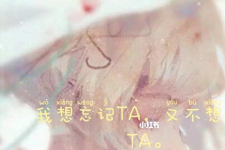 忘记和忘怀是一组什么词