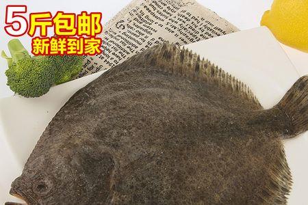多宝鱼和石斑鱼哪个营养价值高