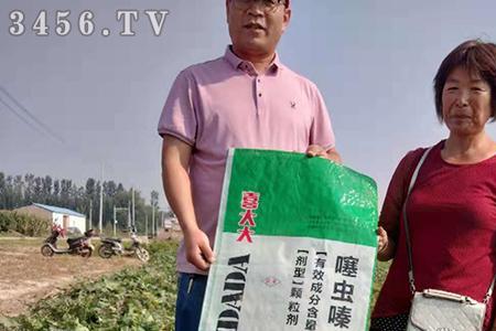 红薯地里的潮虫怎么办
