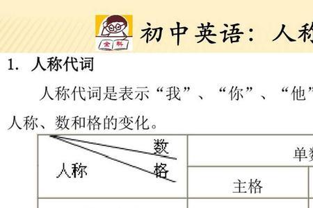 他的代词