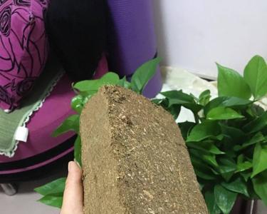 网上卖的椰砖能养花吗