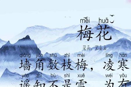 梅花对应词语