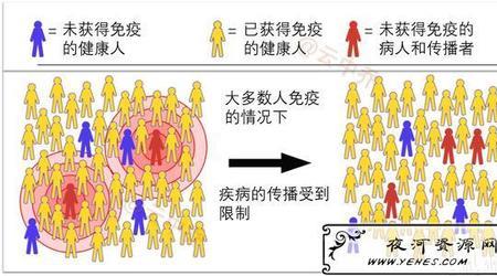 什么是圈踢