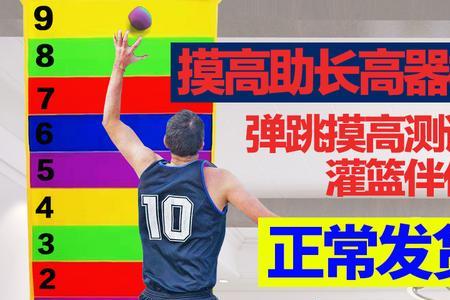 纵跳摸高穿什么鞋
